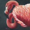 Fierce Flamingo