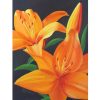 orange lilies square