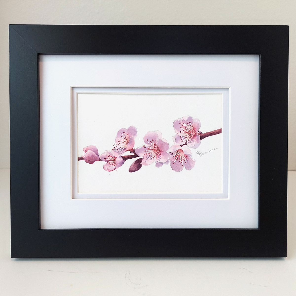 Cherry Blossoms Watercolor Painting - Diana Ranstrom Art