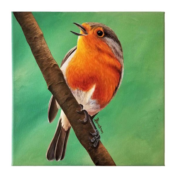european robin painting