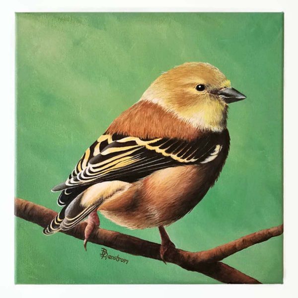 goldfinch acrylic painting
