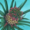 pineapple plant with slip