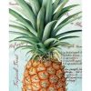 pineapple colored pencil drawing