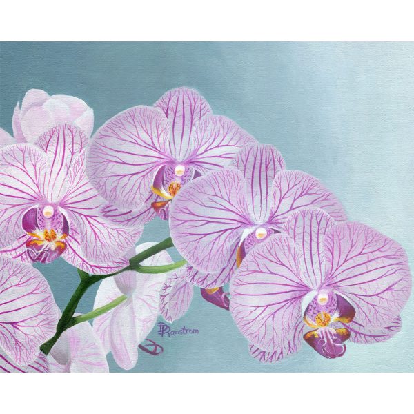 purple orchids acrylic