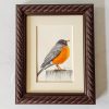 robin watercolor framed