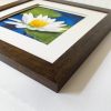 water lily frame detail