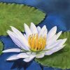 water lily watercolor painting