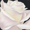 white rose print