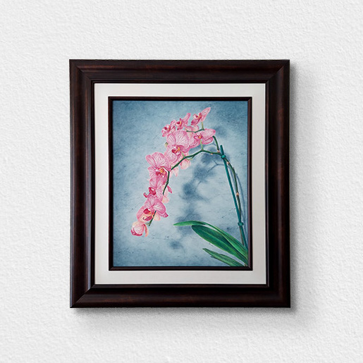 Framed Moth Orchid Colored Pencil Drawing.