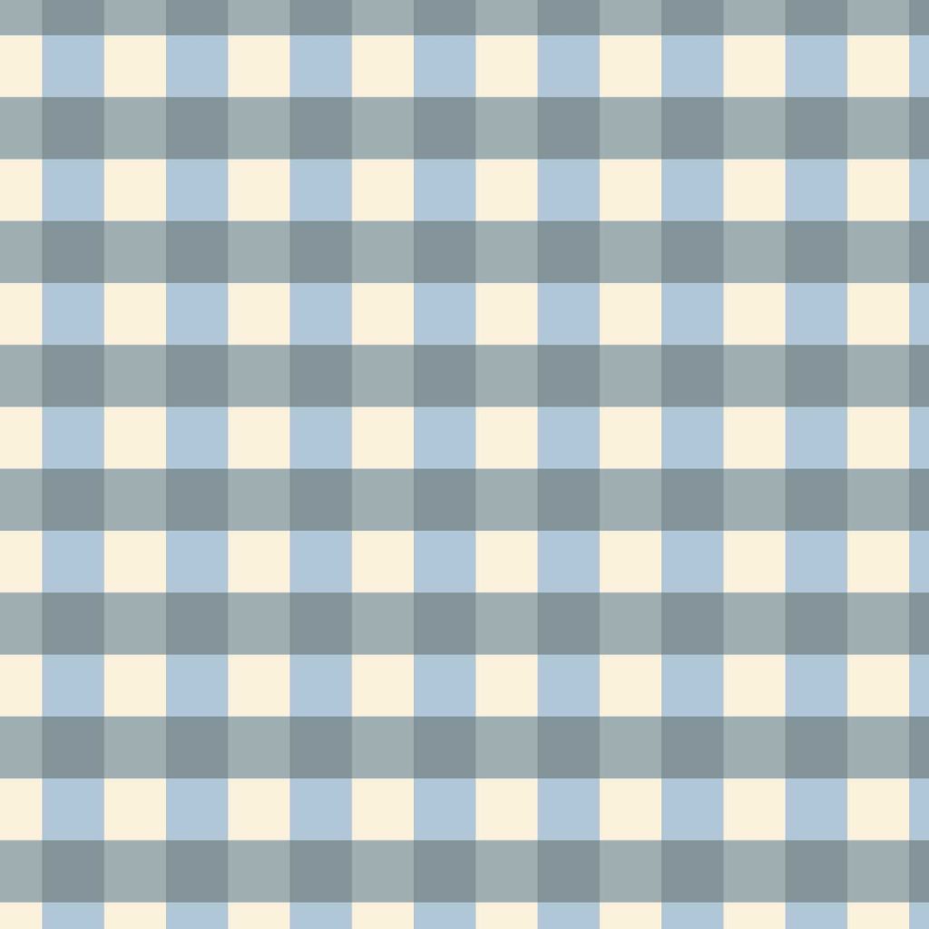 a gingham pattern in blue
